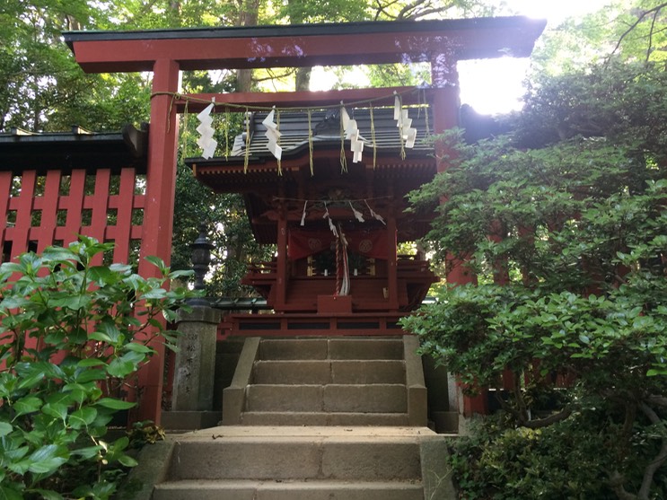 Photo 31-05-2014 16 21 54