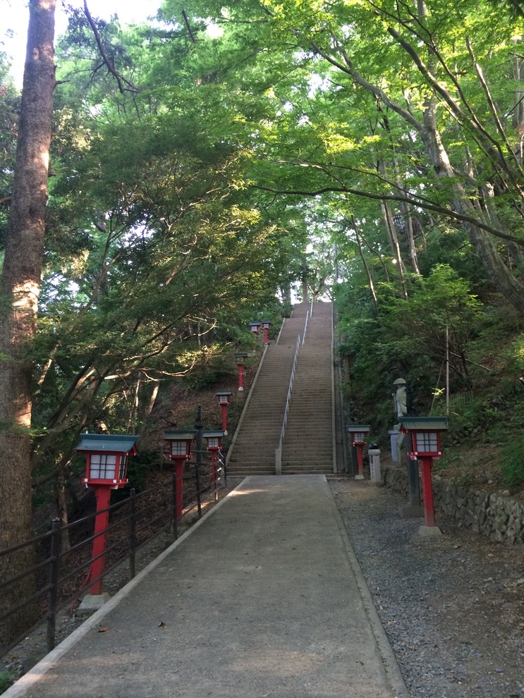 Photo 31-05-2014 16 38 46