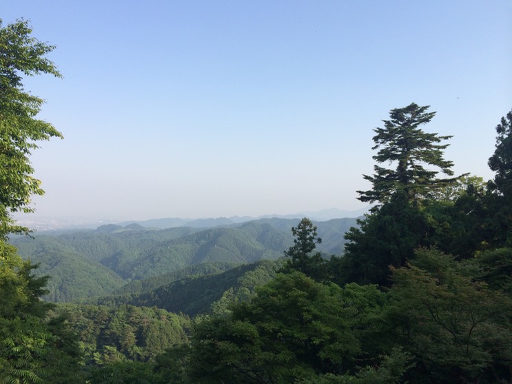 Photo 31-05-2014 16 45 04